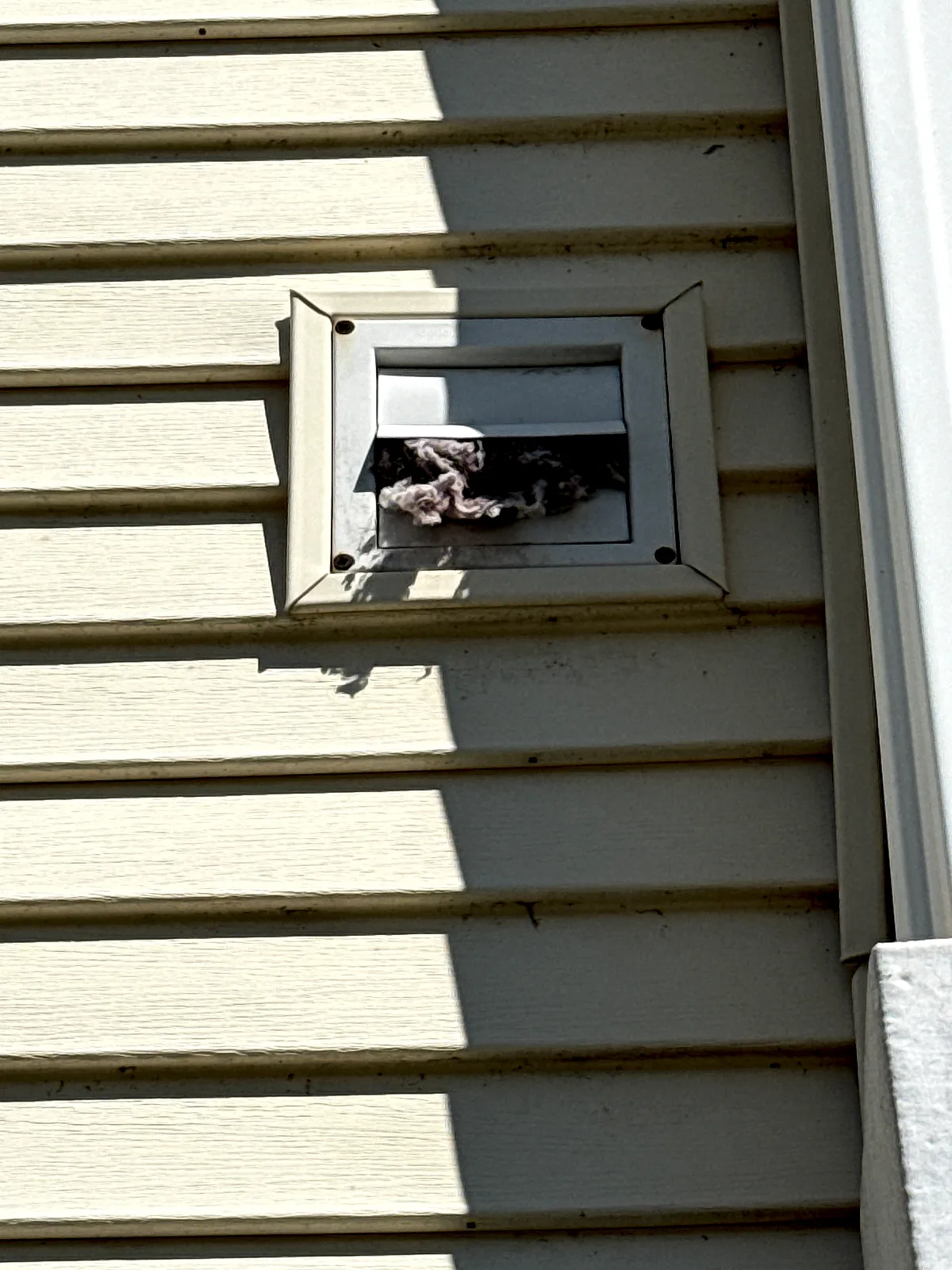 Inspection photo: exterior dryer vent cover clogged with protruding lint